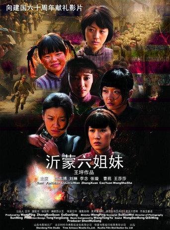 Six Sisters in the War (2009) poster