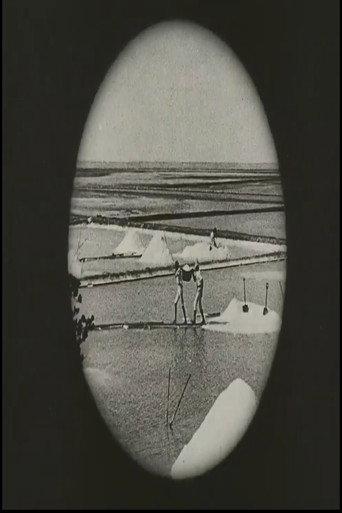 Voyage au Brésil (1927) poster
