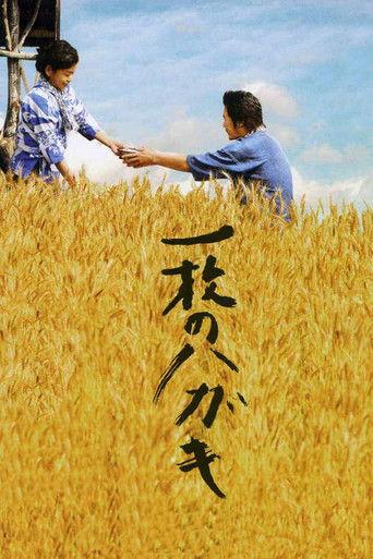 Postcard (2010) poster