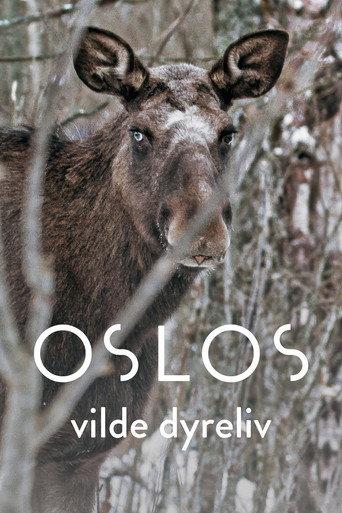 Oslo – The Wild Heart of Norway () poster