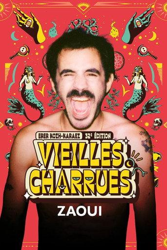 Zaoui en concert aux Vieilles Charrues 2024 (2024) poster
