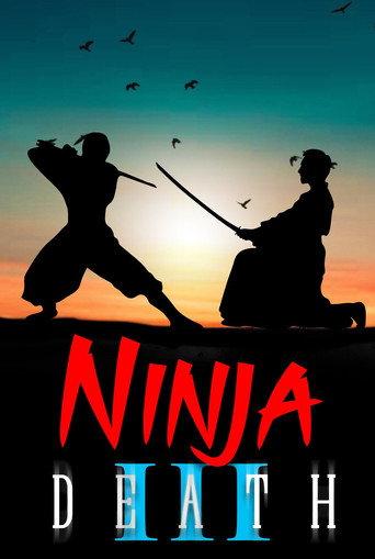Ninja Death 3 (1987) poster