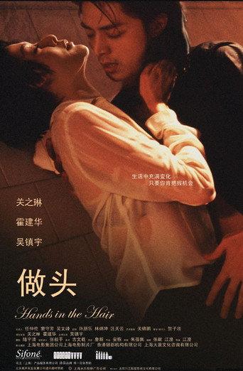 Hands in the Hair (2005) poster