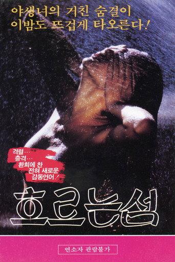 흐르는 섬 (1989) poster