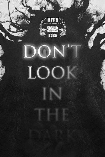 Don't Look in the Dark (2025) poster