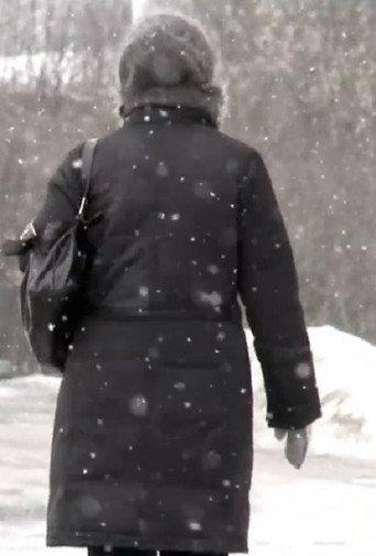 Snow (2011) poster