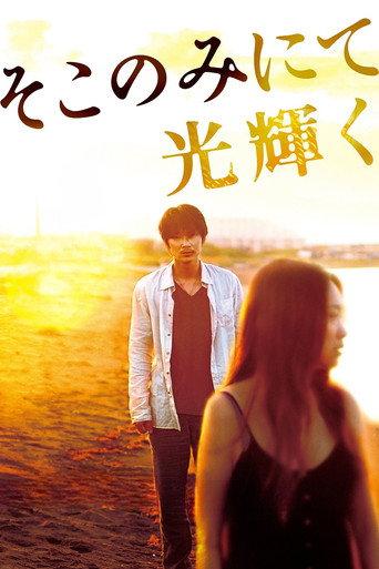 The Light Shines Only There (2014) poster