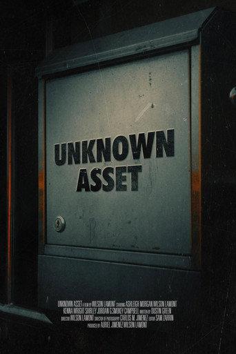 Unknown Asset () poster