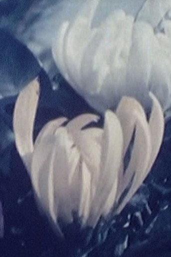 告別 (1994) poster