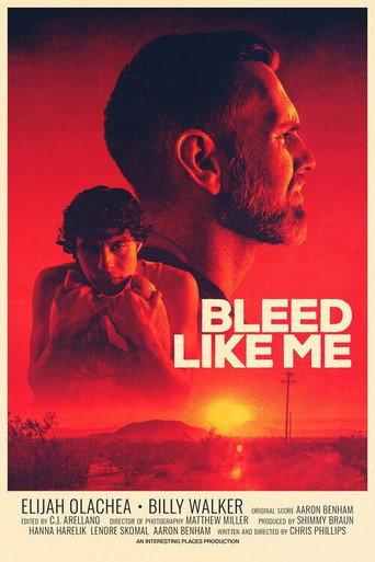 Bleed Like Me () poster