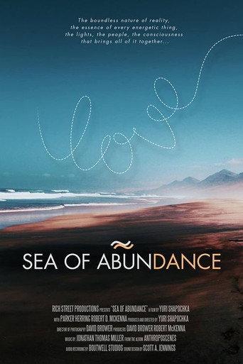 Sea of Abundance () poster