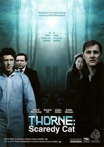 Thorne: Scaredycat (2010) poster