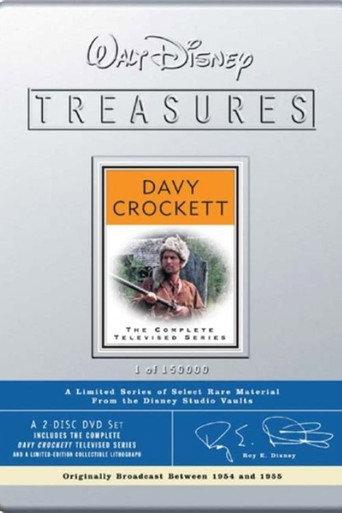 The Crockett Craze (2001) poster