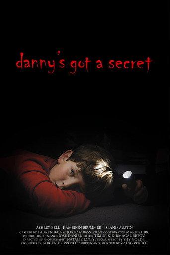 Danny's Got a Secret () poster