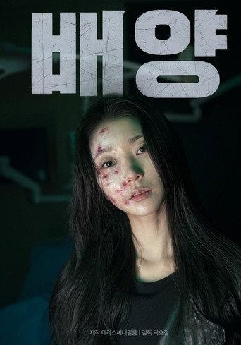 Culture (2025) poster
