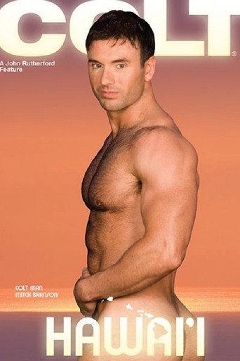Hawai'i (2007) poster