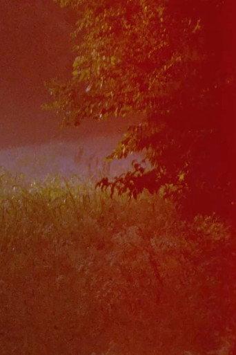 Bardo Landscape (2020) poster
