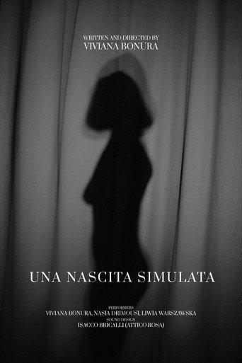 Una nascita simulata () poster