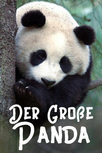 The Giant Panda (2020) poster