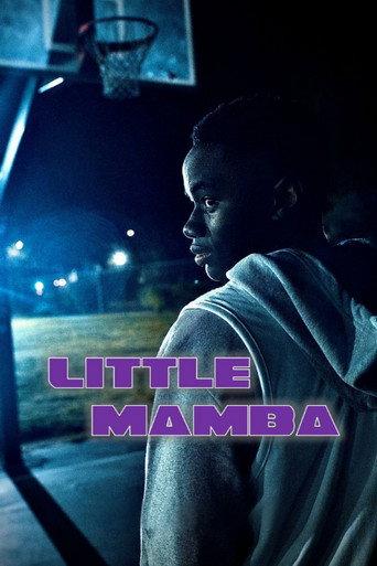 Little Mamba () poster
