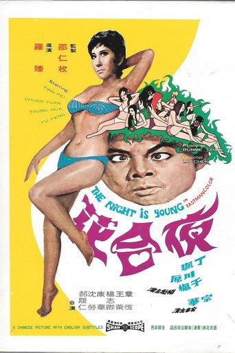The Night Is Young (1971) poster