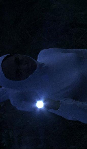 Lublae (2013) poster