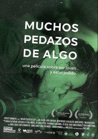 Many Pieces of Something (2015) poster
