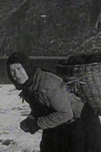 A Crofter's Life in the Shetlands (1931) poster