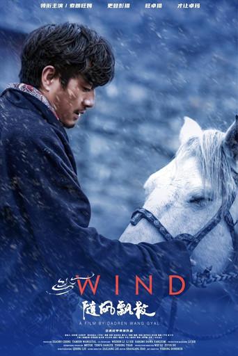 Wind (2020) poster