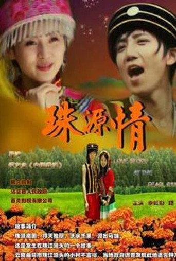 珠源情 (2010) poster
