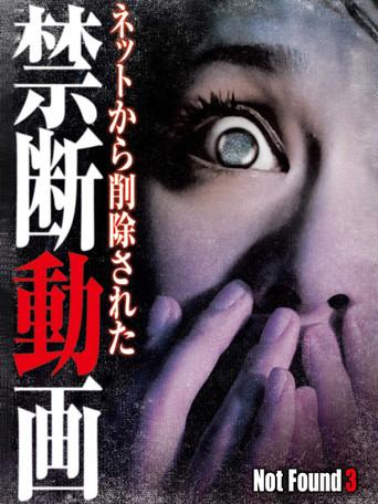 Not Found 3 (2011) poster