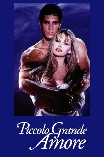 Pretty Princess (1993) poster