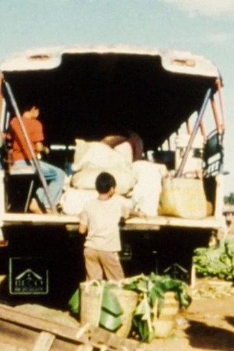 Fragments of a Journey to Laos (2008) poster