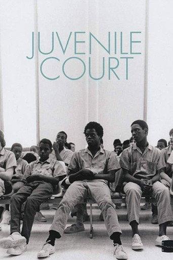 Juvenile Court (1973) poster