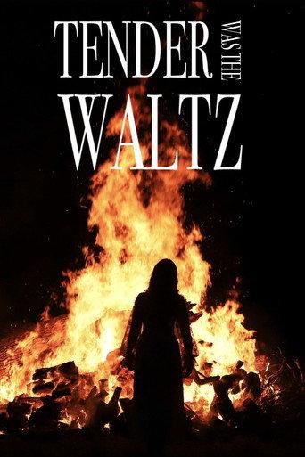 Tender Was The Waltz () poster