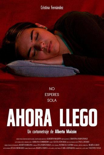 Almost there (2024) poster