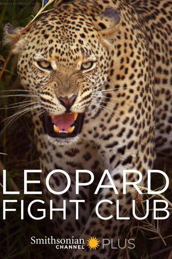 Leopard Fight Club (2013) poster