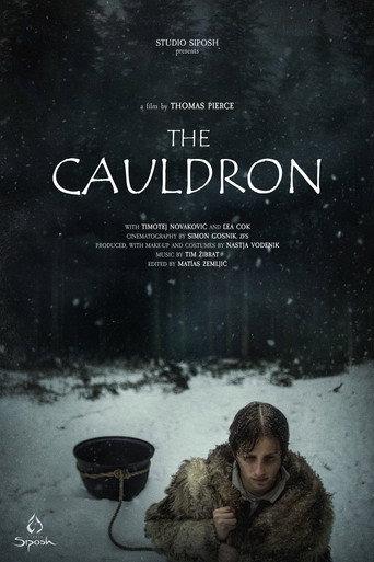The Cauldron (2025) poster