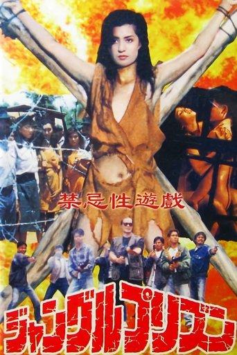 Erotic Journey (1993) poster