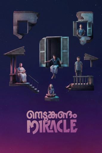 Nedumkandam Miracle () poster