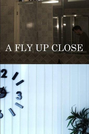 A Fly Up Close (2024) poster