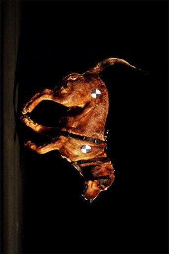 SpaceTimeDog (2010) poster