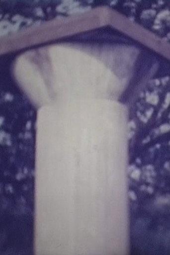 Santokei (1991) poster