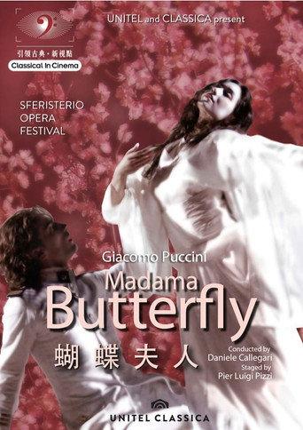 Madama Butterfly - Macerata (2011) poster