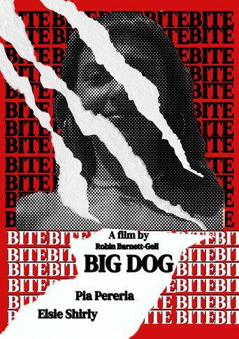 Big Dog () poster