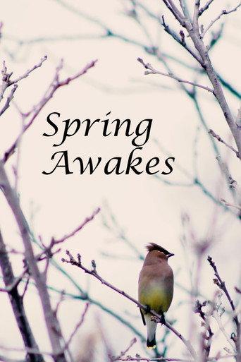 Spring Awakes () poster