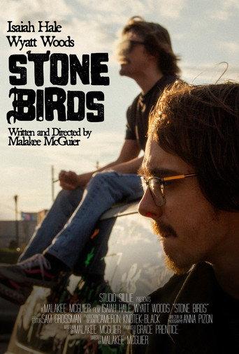 Stone Birds (2025) poster