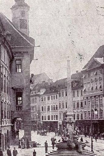 View of Ljubljana (1898) poster