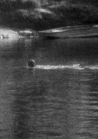Swimming (1977) poster