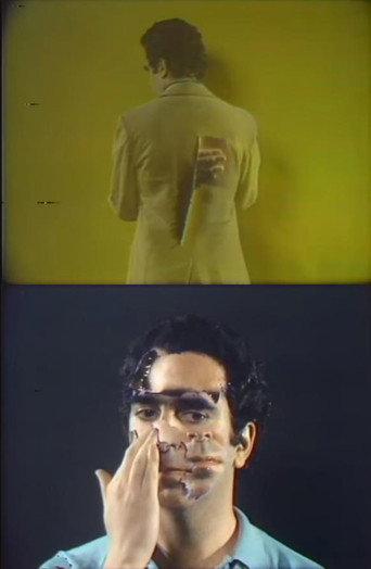 Three Transitions (1973) poster